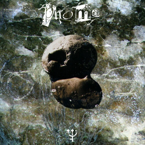 Phoma