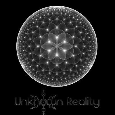 Unknown Reality