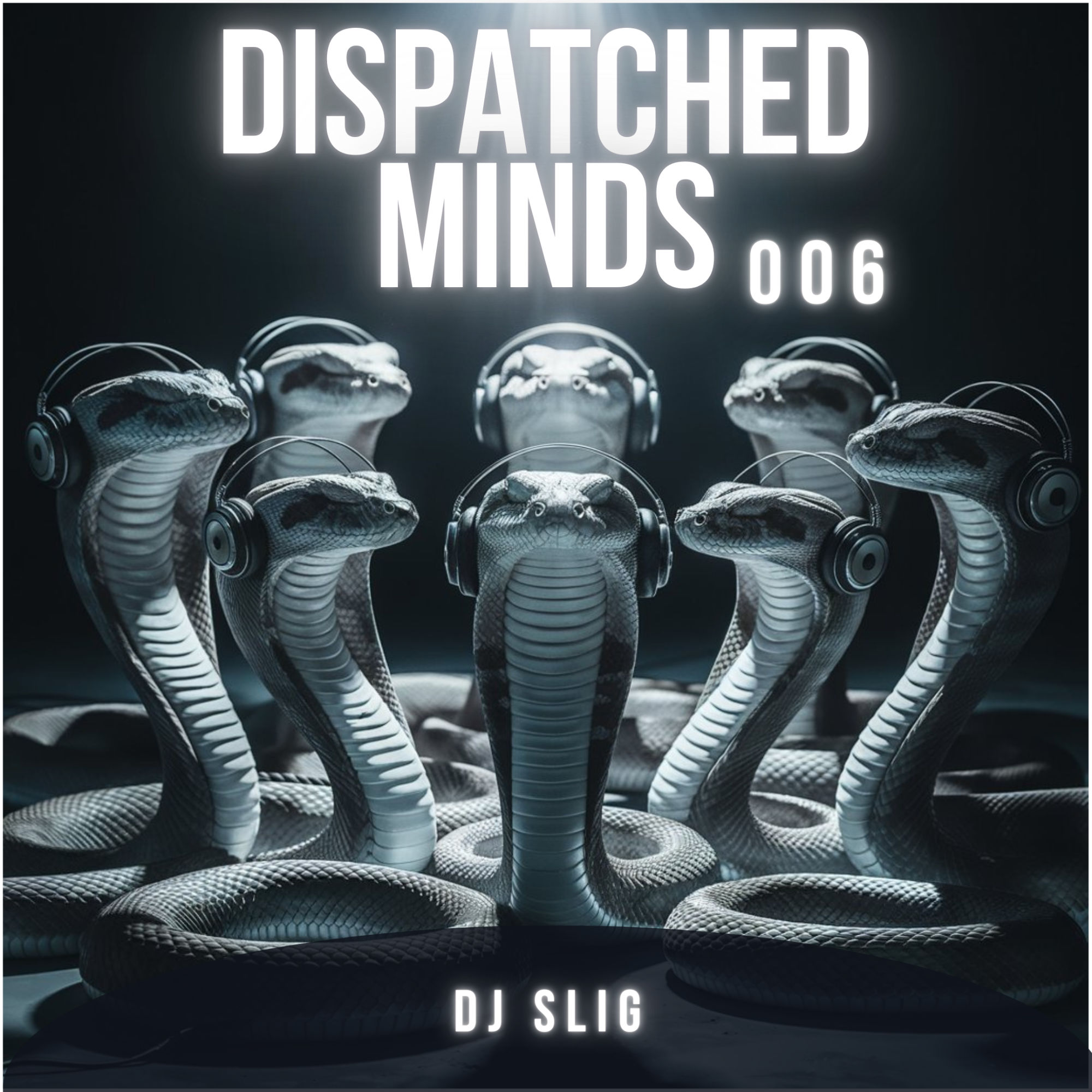 Dj Slig - Dispatched Minds 006